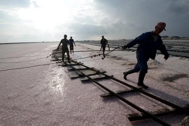 Workers adjust rails at the bed of a drained area of a lake used for the production of salt at the Sasyk-Sivash lake near the city of Yevpatoria, Crimea, September 25, 2015. (Photo by Pavel Rebrov/Reuters)