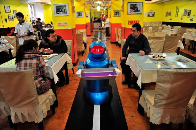 A robot that specialises in delivering food holds an empty plate after serving meals to customers at a Robot Restaurant in Harbin, Heilongjiang province January 12, 2013. Opened in June 2012, the restaurant has gained fame in using a total of 20 robots, which range in heights of 1.3 – 1.6 metres, to cook meals and deliver dishes. The robots can work continuously for five hours after a two-hour charge, and are able to display over 10 expressions on their faces and say basic welcoming sentences to customers, local media reported. (Photo by Sheng Li/Reuters)