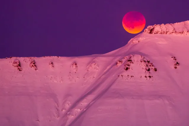 A super blue blood moon is seen from Longyearbyen, Svalbard, Norway, January 31, 2018. (Photo by Heiko Junge/NTB Scanpix via Reuters)