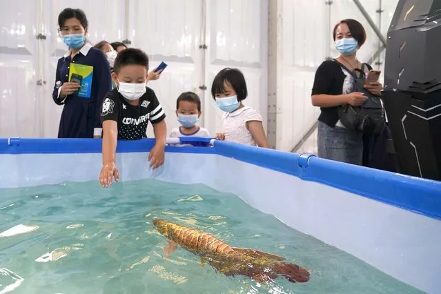 A bionic fish on display during the 2020 China International Fair for Trade in Services (CIFTIS) at Beijing Olympic Park on September 6, 2020 in Beijing, China. As China recovers from the COVID-19 epidemic, about 2,000 Chinese and foreign enterprises will participate and showcase their newest technology in public health and digital technology in the China International Fair for Trade in Services. (Photo by Lintao Zhang/Getty Images)