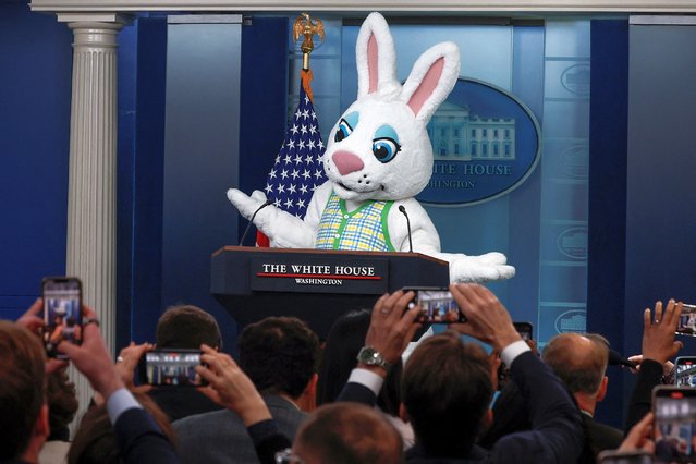 The Easter bunny makes a guest appearance in the White House briefing room, on April, 1, 2024. (Photo by Evelyn Hockstein/Reuters)