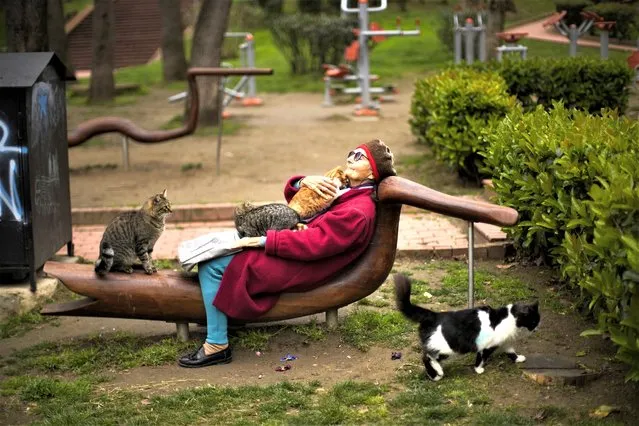 Tiraje Kestelli lies on a seat covered with cats at Macka park in Istanbul, Turkey, Thursday, March 23, 2023. Tiraje Kestelli said she knows the name of every single cat that surrounds her and brings them food from her own table every single day at Macka park. (Photo by Francisco Seco/AP Photo)