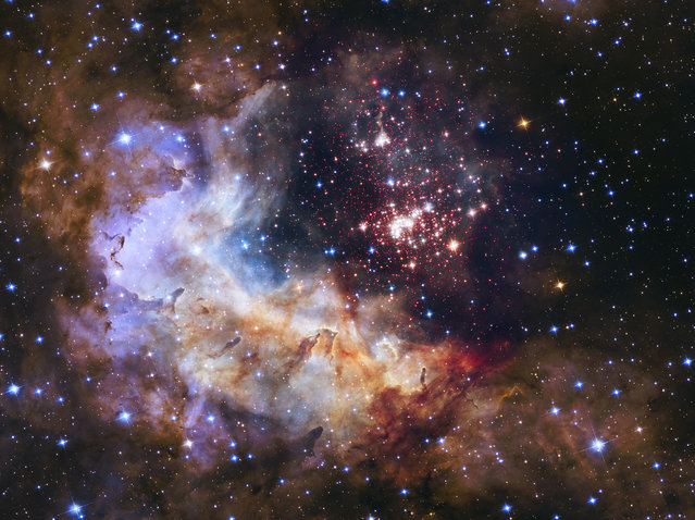 A stellar nursery of about 3,000 stars called Westerlund 2, located about 20,000 light-years from the planet earth in the constellation Carina. Image taken by the Hubble Space Telescope and released April 23, 2015. (Photo by Reuters/NASA)