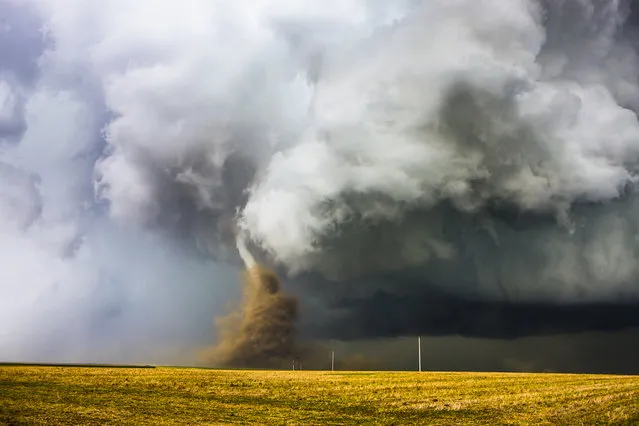 “Dust Dance”. A tornado tightens up and kicks up a lot of dust as it heads straight for me, roping out and dissipating approximately 1/2 mile from my location less than a minute later. The tornado was on the ground for a total of 4 minutes. To the right of the main tornado another funnel with a debris cloud on the ground can be seen. The tornado was a rare cold core tornado that had papers written up about it a few days later, referencing my photos. This is one of seven tornadoes I saw that day, making it my most successful storm chase to date. June 20th, 2011 near Norton Kansas at 2:32pm. (Photo and caption by David Mayhew/National Geographic Traveler Photo Contest)