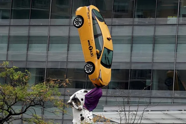 A sculpture called “Dalmation” balances a taxi on its nose while wearing a face covering during the coronavirus disease (COVID-19) pandemic in the Manhattan borough of New York City, New York, U.S., November 13, 2020. (Photo by Carlo Allegri/Reuters)
