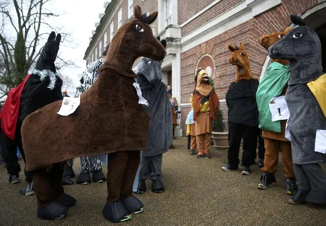 Participants wear costume as they take part in the annual London Pantomime Horse Race in Greenwich, Britain December 13, 2015. (Photo by Neil Hall/Reuters)