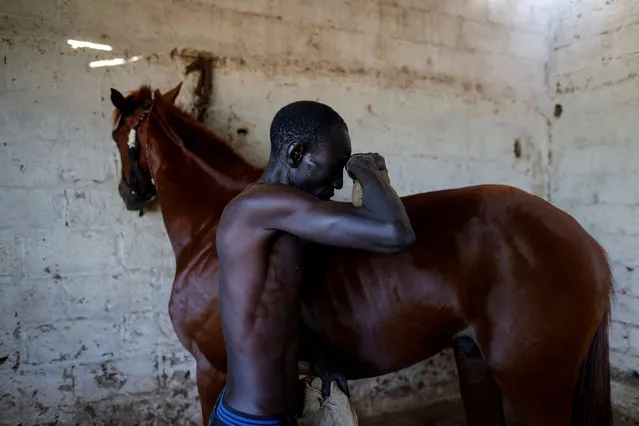 A stableboy bathes a horse at the Lambafar stable in Niaga, Rufisque department, Senegal, January 27, 2021. (Photo by Zohra Bensemra/Reuters)