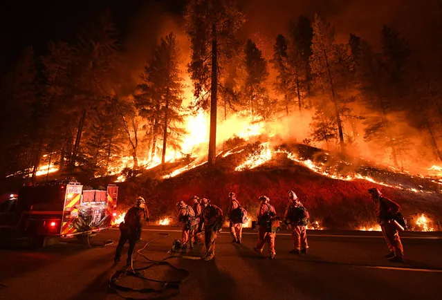 Firefighters try to control a back burn as the Carr fire continues to spread towards the towns of Douglas City and Lewiston near Redding, California on July 31, 2018. Two firefighters were killed fighting the blaze and three people, a 70 year old woman and her two great- grandchildren age four and five, perished when their Redding home was rapidly swallowed up by flames. (Photo by Mark Ralston/AFP Photo)