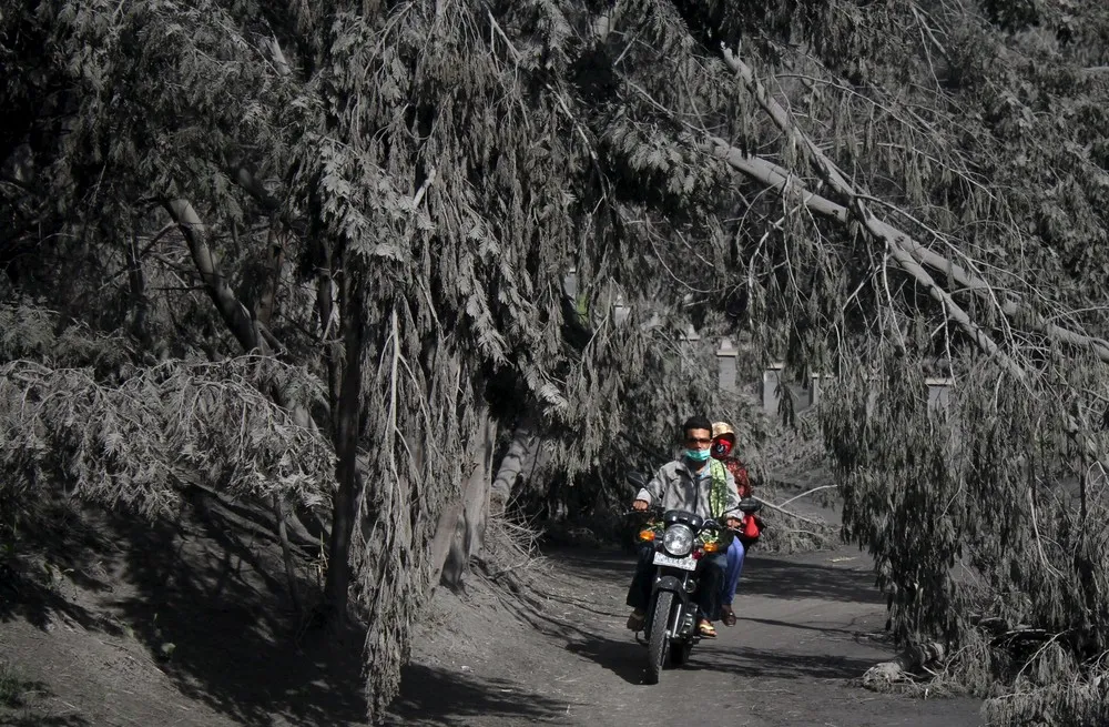 The Day in Photos – January 5, 2016