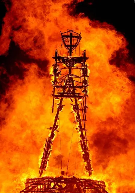 The “Man” burns on the Black Rock Desert at Burning Man near Gerlach, Nev. on August 31, 2013.U.S. Bureau of Land Management spokesman Mark Turney said Saturday more than 61,000 people have turned out so far for the weekend Burning Man outdoor art and music festival in the Black Rock Desert of northern Nevada. (Photo by Andy Barron/AP Photo/Reno Gazette-Journal)