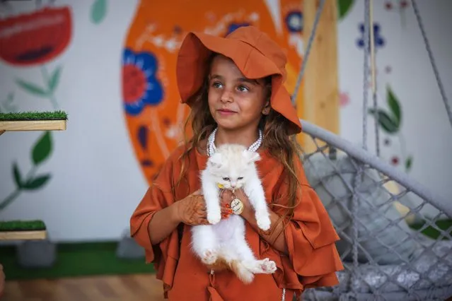 A girl holds a feline at the newly inaugurated Cat Cafe in Gaza City on August 17, 2023. (Photo by Mohammed Abed/AFP Photo)