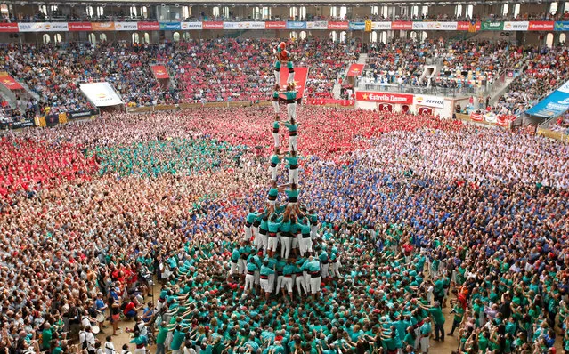Castellers de Vilafranca form a human tower called “castell” during a biannual competition in Tarragona city, Spain October 2, 2016. (Photo by Albert Gea/Reuters)