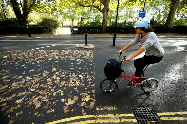 A woman cycles her bike along a road, where the fallen autumn leaves have made a pattern, in central London, Britain, October 13, 2018. (Photo by Henry Nicholls/Reuters)