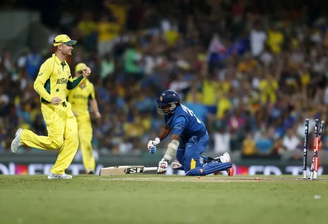 Australia's captain Michael Clarke (L) celebrates running out Sri Lanka's Mahela Jayawardene (R) during their Cricket World Cup match in Sydney, March 8, 2015.    REUTERS/Jason Reed (AUSTRALIA - Tags: SPORT CRICKET)