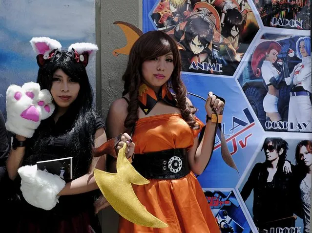 Cosplayers who are fans of Japanese anime culture, pose in a square in La Paz, Bolivia, January 19, 2016. (Photo by David Mercado/Reuters)