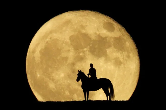 Jonay Ravelo and his horse Nivaria observe the super moon known as the Blue Moon, from a mountain in Mogan, in the south of the island of Gran Canaria, Spain on August 31, 2023. (Photo by Borja Suarez/Reuters)