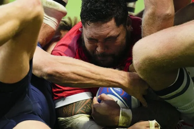 Tonga's Ben Tameifuna scores a try during the Rugby World Cup Pool B match between Scotland and Tonga at the Stade de Nice, in Nice, France, Sunday, September 24, 2023. (Photo by Daniel Cole/AP Photo)