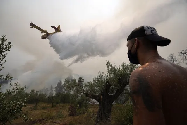 A local resident looks an aircraft dropping water over a wildfire at Ellinika village on Evia island, about 176 kilometers (110 miles) north of Athens, Greece, Monday, August 9, 2021. Firefighters and residents battled a massive forest fire on Greece's second largest island for a seventh day Monday, fighting to save what they can from flames that have decimated vast tracts of pristine forest, destroyed homes and businesses and sent thousands fleeing. (Photo by Petros Karadjias/AP Photo)