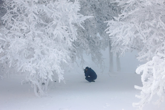 A man takes pictures of trees covered with hoarfrost and snow in a forest on the bank of the Yenisei River, with the air temperature at about minus 32 degrees Celsius (minus 25.6 degrees Fahrenheit), near the Siberian city of Krasnoyarsk, Russia December 6, 2018. (Photo by Ilya Naymushin/Reuters)