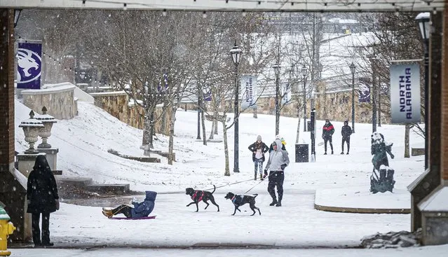People walk in the snow at the University of North Alabama on Monday in Florence, Ala on January 15, 2024. (Photo by Dan Busey/The TimesDaily via AP Photo)