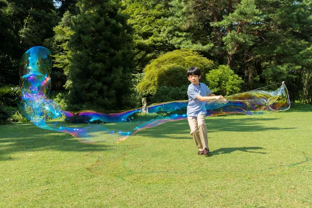 Japan's Prince Hisahito, the only son of Prince Akishino and Princess Kiko, makes soap bubbles on the grounds of the Akasaka Estate in Tokyo, Japan in this handout picture taken August 10, 2018, and provided by the Imperial Household Agency of Japan. Prince Hisahito turned 12 years old on September 6, 2018. (Photo by Imperial Household Agency of Japan/Handout via Reuters)