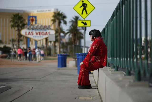 In this March 3, 2016, photo, Ted Payne rests as he works for tips dressed as Elvis at the “Welcome to Las Vegas” sign in Las Vegas. For decades, Las Vegas has loved Elvis Presley. But the King's presence in modern day Sin City has lately been diminishing. (Photo by John Locher/AP Photo)