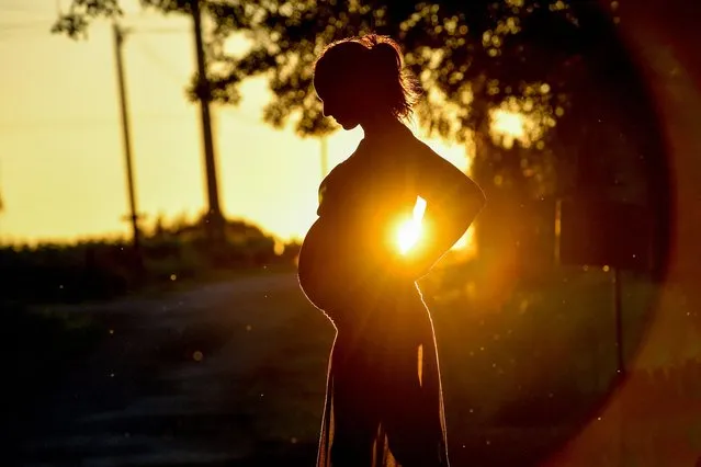 A pregnant woman poses on June 19, 2018 in Vertou, western France. France had an estimated population of 68.4 million by January 1, 2024, representing a further year-on-year increase of 0.3 percent, limited by a marked drop in the birth rate, the INSEE national statistics bureau of France reported on January 16, 2024. In 2023, 678,000 babies were born in France, 6.6 percent fewer than the previous year, the lowest number of births in any year since 1946. Over the same period, there were 631,000 deaths, down 6.5 percent on 2022, a year marked by the consequences of the Covid-19 pandemic and episodes of extreme heat. (Photo by Loic Venance/AFP Photo)
