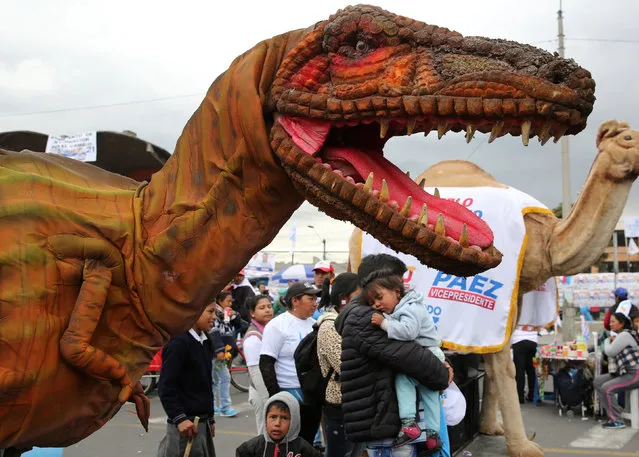 A man wearing a dinosaur costume attends the campaign rally of Guillermo Lasso, presidential candidate from the CREO party, in Quito, Ecuador February 15, 2017. (Photo by Mariana Bazo/Reuters)