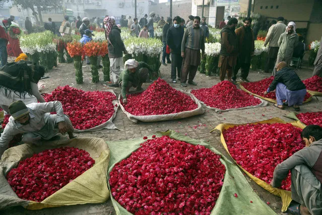 Vendors display piles of red roses for sale at a flower market on the outskirts of Lahore Pakistan, Thursday, December 2, 2021. (Photo by K.M. Chaudary/AP Photo)
