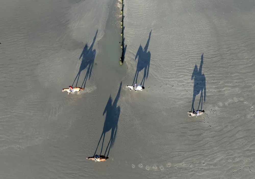 Some Photos: Shadows