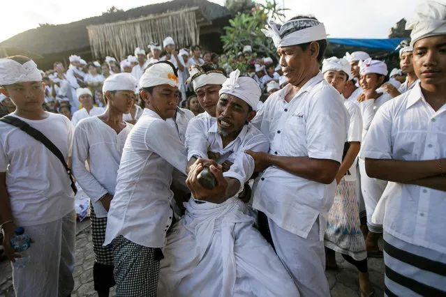 A Balinese man stabs himself with a “keris”, a short dagger, while in a state of trance during a sacred ritual at Petilan Pengerebongan Temple in Denpasar, Bali, Indonesia, 23 April 2017. When a group of people get into trance, they scream and stab themselves with a “keris”, but there is no bleeding. Balinese believe that trance is a way of god to show their presence in the ceremony. (Photo by Made Nagi/EPA)
