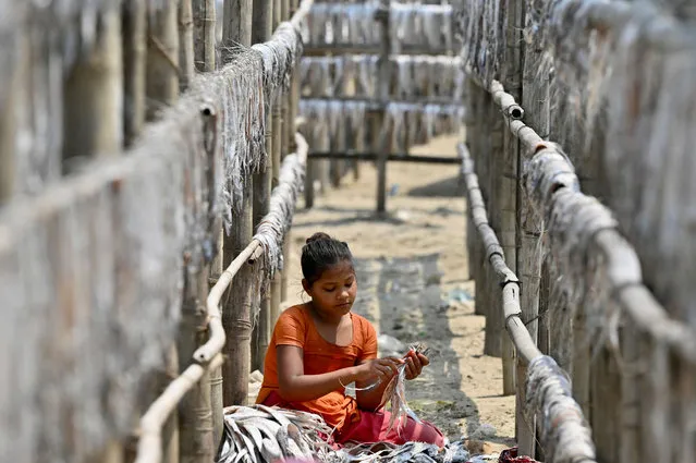 A girl sorts fish drying on the sun at a fish processing area near in Cox's Bazar on March 25, 2022. (Photo by Munir Uz Zaman/AFP Photo)
