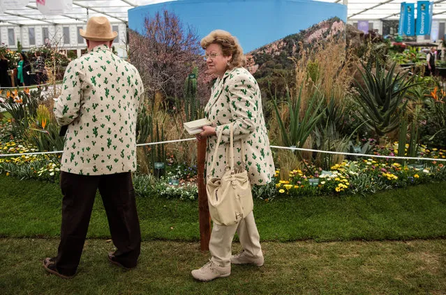 A couple wearing matching cacti jackets view the displays at the Chelsea Flower Show on May 22, 2017 in London, England. (Photo by Jack Taylor/Getty Images)