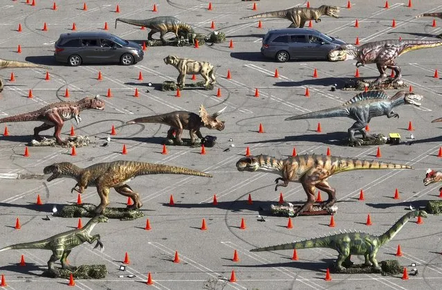 Visitors to Jurassic Empire drive through the dinosaurs in the parking lot of the Westminster Mall in Westminster, Calif., Friday, April 8, 2022. More than 30 animatronic dinosaurs are set up along the east side of the mall. (Photo by Jeff Gritchen/The Orange County Register via AP Photo)