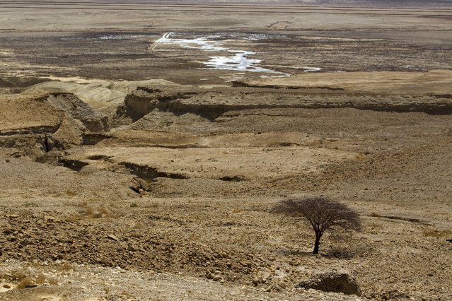 Sinkholes are seen on the shore of the Dead Sea, Israel July 27, 2015. (Photo by Amir Cohen/Reuters)