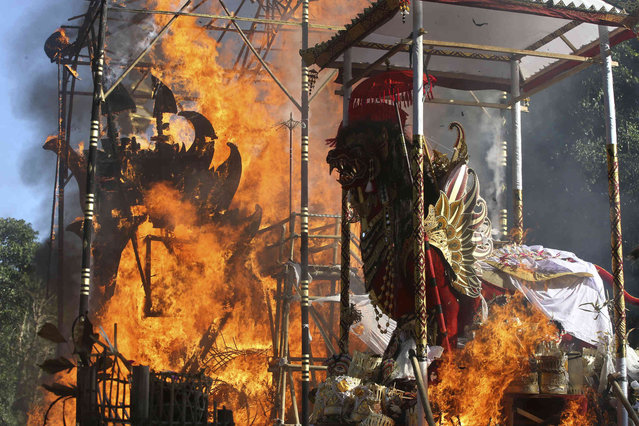 Fire engulfs giant effigy of mythical animals containing the remains of 220 people during traditional mass cremation called ''ngaben'' on Wednesday, August 14, 2024, in Manggis, Bali, Indonesia. (Photo by Firdia Lisnawati/AP Photo)