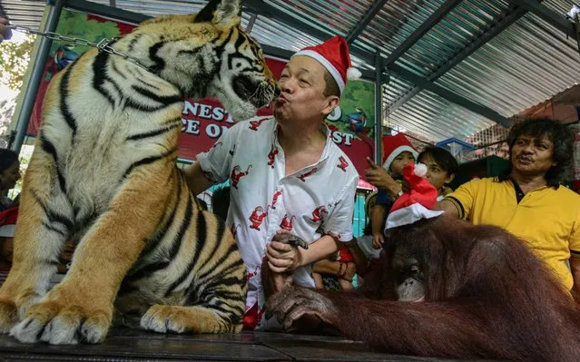 Manny Tangco, owner of the Malabon Zoo, kisses Rody the tiger as Marimar the orangutan looks on during the “Animal Christmas Party”, where children were treated to a tour of the Malabon Zoo, in Manila on December 21, 2019. (Photo by Maria Tan/AFP Photo)