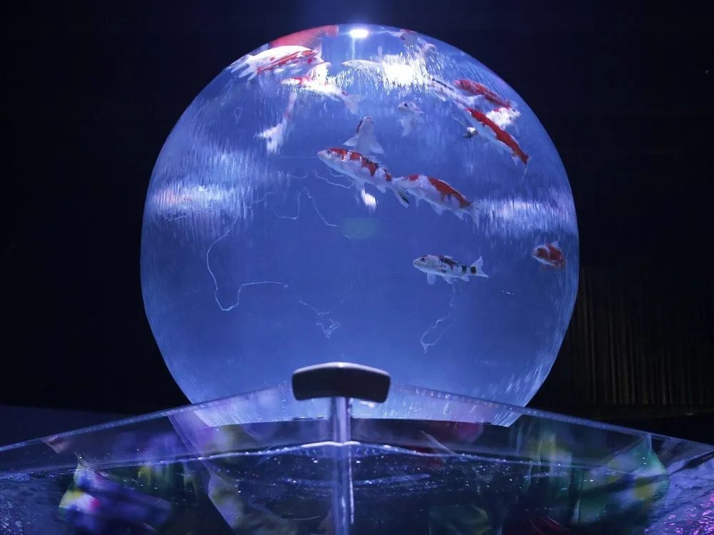 “Art Aquarium” Exhibition in Japan