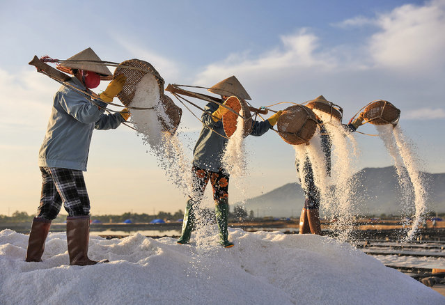 Salt crystals tumble to the ground as workers in Hon Khoi, central Vietnam, use traditional methods to collect and transport them in the second decade of October 2024. (Photo by Sabina Akter/Solent News)