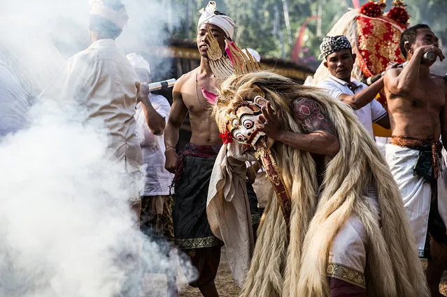 A Balinese man in a state of trance dances wearing a sacred Rangda mask during a sacred ritual of Ngusaba Puseh at Selumbung Village on September 11, 2014 in the Karangasem District, Bali, Indonesia. The Ngusaba Puseh  ritual is performed once a year to celebrate the ancestors of the local community and show gratitude to God. (Photo by Agung Parameswara/Getty Images)