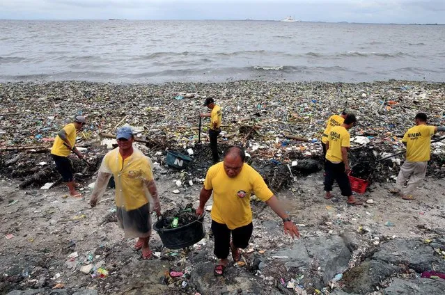 Government workers scoop out rubbish washed ashore due to strong waves brought about by the monsoon rains during a clean up operation along Manila bay, metro Manila, Philippines, August 8, 2016. (Photo by Romeo Ranoco/Reuters)
