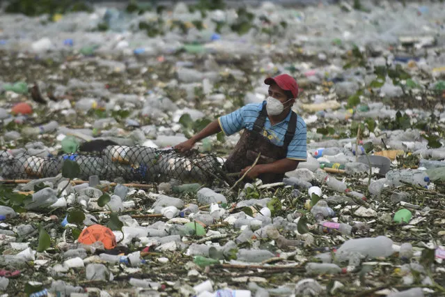 A worker of the Lake Amatitlan Authority (AMSA) collects garbage washed away by rains and held by a floating barrier installed in one of the tributaries of the Lake in Amatitlan, 30 kms south of Guatemala City, on May 29, 2020, amid the Covid-19 coronavirus pandemic. (Photo by Johan Ordonez/AFP Photo)