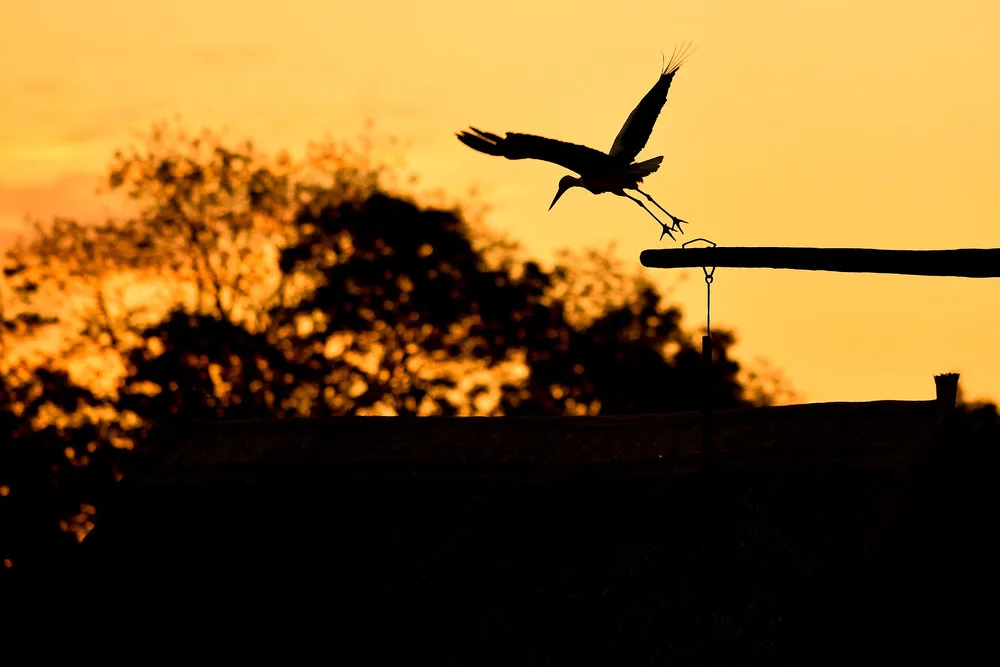 Some Photos: Silhouettes