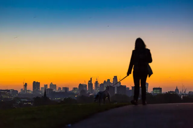 Walkers on Primrose hill are silhouetted against the rising sun as the day breaks over London's skyline on October 27, 2017 in London, England. (Photo by Paul Davey/Barcroft Media)