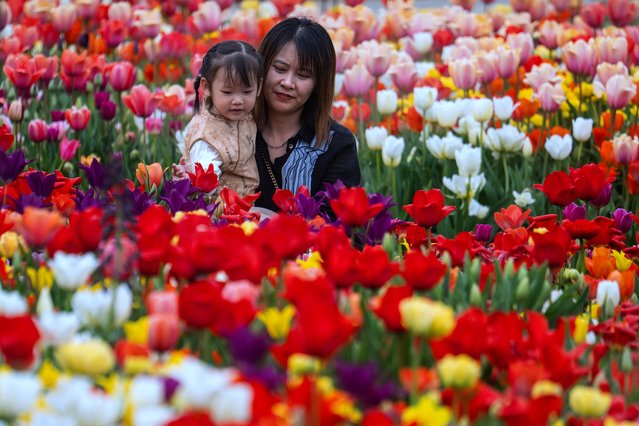 A woman holds a child in a bed of tulips at Longwood Gardens in Kennett Square, Pennsylvania, on April 19, 2025, during the Easter holiday Spring Blossoms event. (Photo by Jim Watson/AFP Photo)