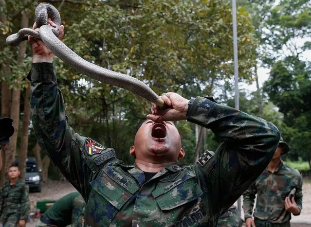 A Thai Marine instructor drinks a cobra's raw blood after killing it as he gives instruction to US Marines and South Korean Marines during jungle survival training as part of the multinational joint military exercise Cobra Gold 2018 at a Force Reconnaissance Battalion camp in the Royal Thai Naval Base, Sattahip district, Chonburi province, Thailand, 19 February 2018. (Photo by Rungroj Yongrit/EPA/EFE)