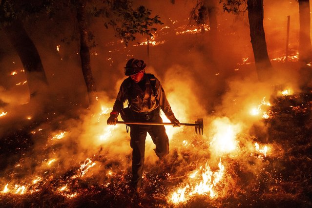 A firefighter battles the Pickett Fire burning in the Aetna Springs area of Napa County, Calif., on Saturday, August 23, 2025. (Photo by Noah Berger/AP Photo)