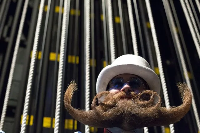 Adam Gazda from Newark, Delaware, poses for a photograph at the 2015 Just For Men National Beard & Moustache Championships at the Kings Theater in the Brooklyn borough of New York City, November 7, 2015. (Photo by Elizabeth Shafiroff/Reuters)