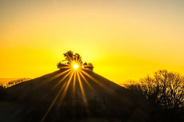 Sunrise over Colmer’s Hill in West Dorset makes for a golden start to the day on March 1, 2023. (Photo by Doug Chalk/Bournemouth News)