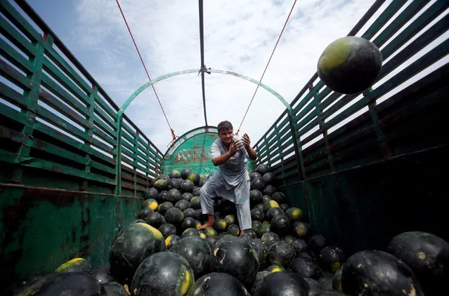 A labourer unloads watermelons from a truck at vegetable and fruit market in Peshawar, Pakistan May 3, 2018. (Photo by Fayaz Aziz/Reuters)